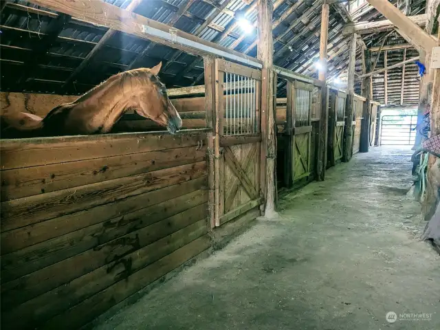 Stalls, 5 that are matted with 2 more open stalls