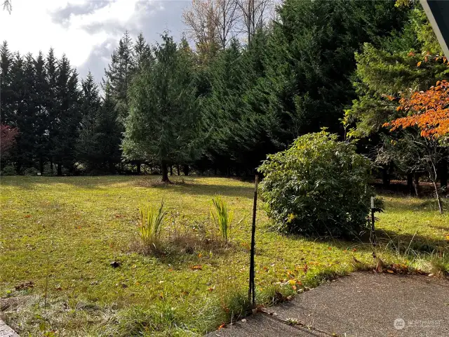 yard