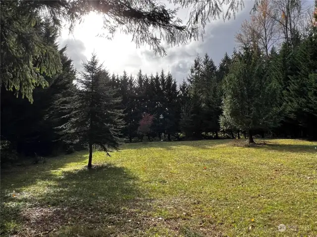 side yard