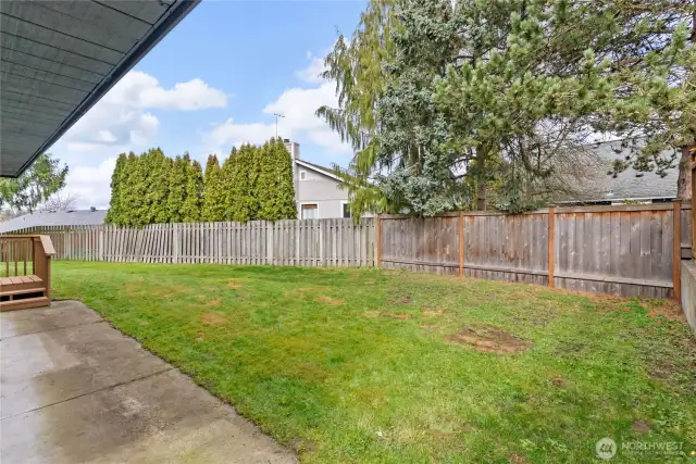 Fully fenced backyard