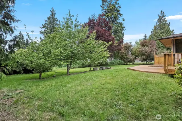 Huge, fully fenced, double lot with fruit trees and storage shed.