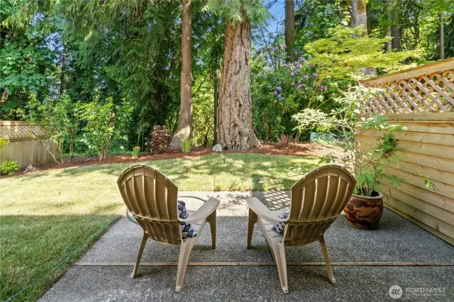 Your small oasis!