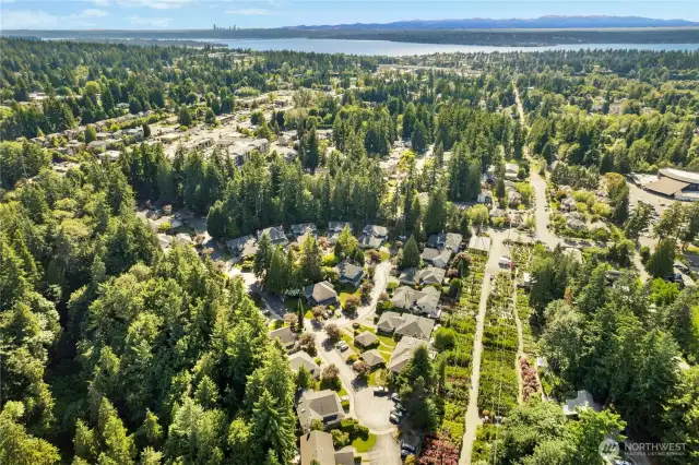 Almost equidistant from Kirkland's waterfront and downtown Redmond!