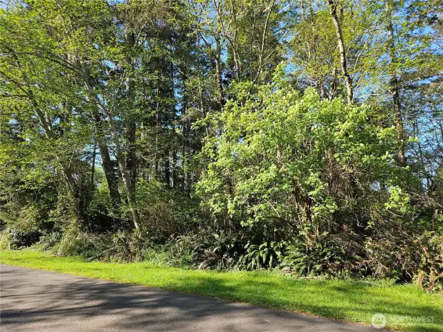 Beautiful, treed lot in a quiet neighborhood.
