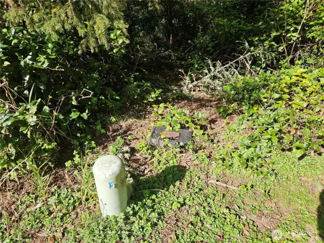Water meter on property.