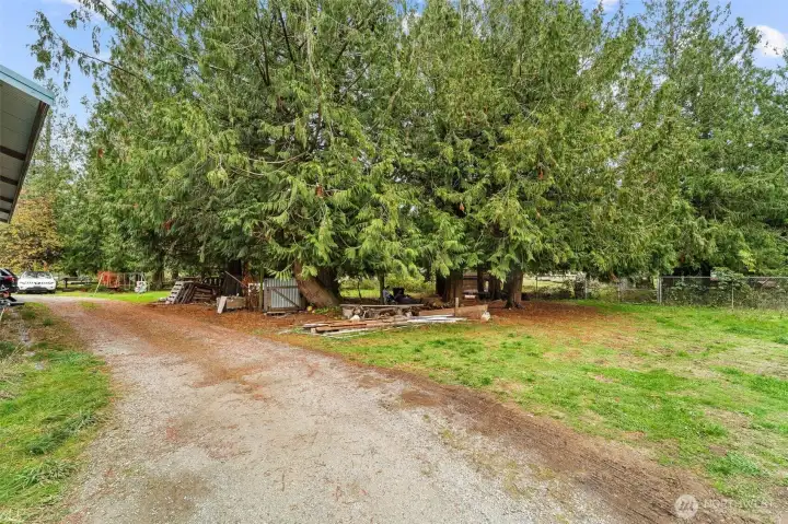 Right side of Massive shop