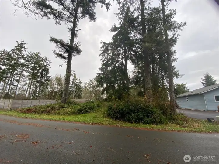 From the south corner of the lot