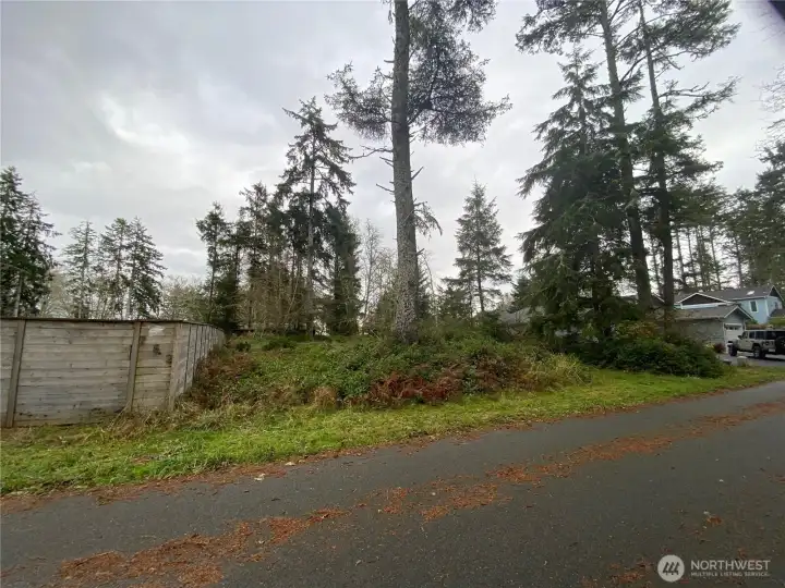 From the North corner of the lot