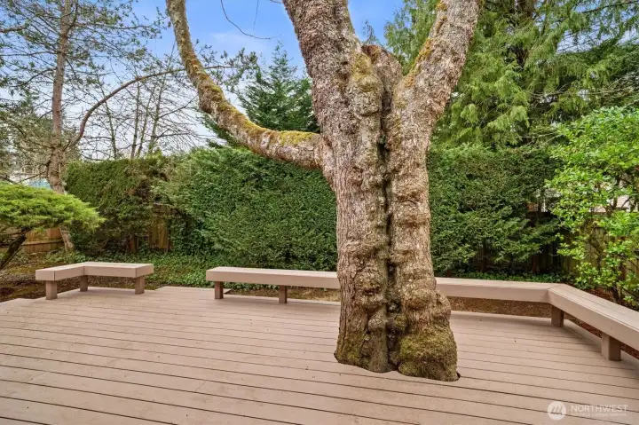 Entertain and relax on your back deck!