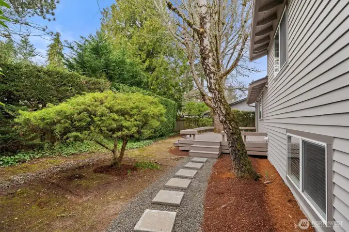 Stepping stones take you through a lush and beautiful backyard.
