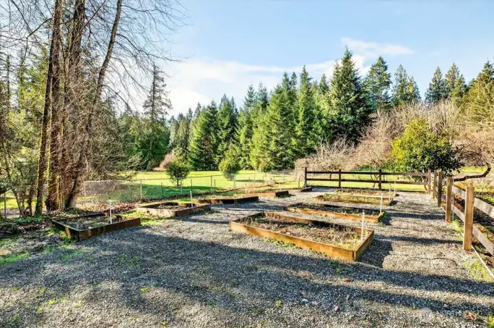 Raised garden beds with integrated watering system.