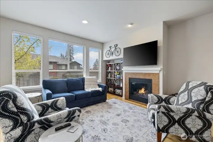 Entertainment niche next to fireplace