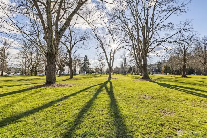 Sunshine and Shadows galore!