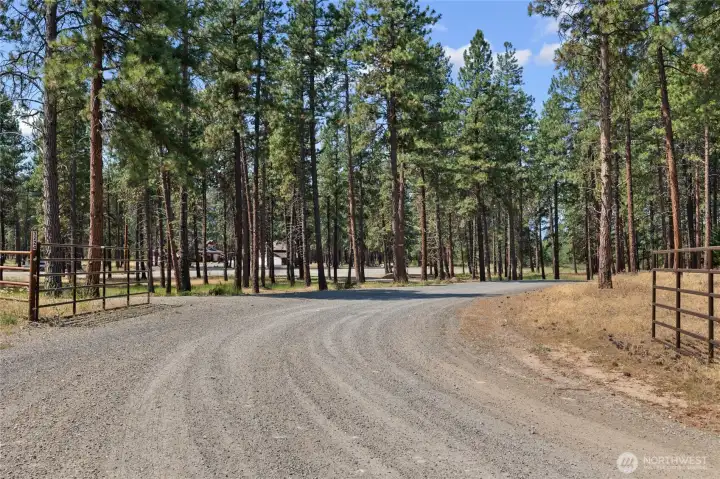 Secluded Cle Elum retreat, nestled in the trees, offering expansive space while only minutes from town.