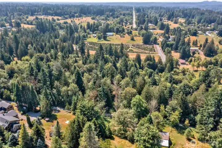 Nice QUIET location with room to breathe!