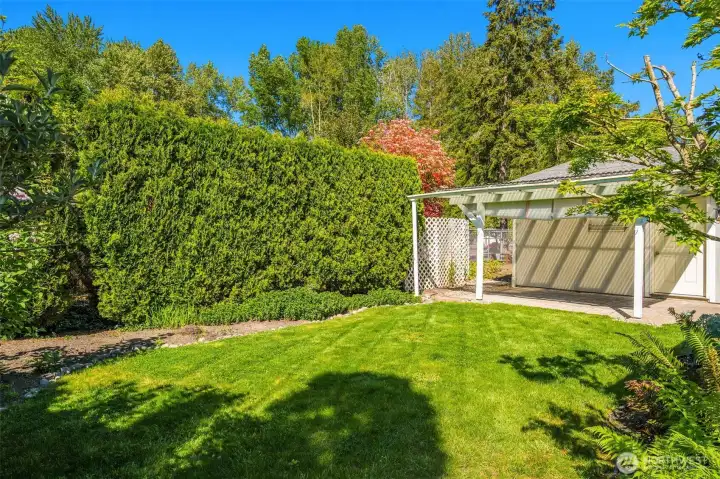 Backyard showing covered patio.