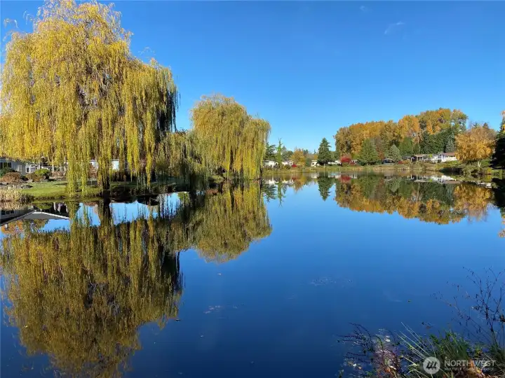 A view of the lake from the sound end near the community clubhouse.