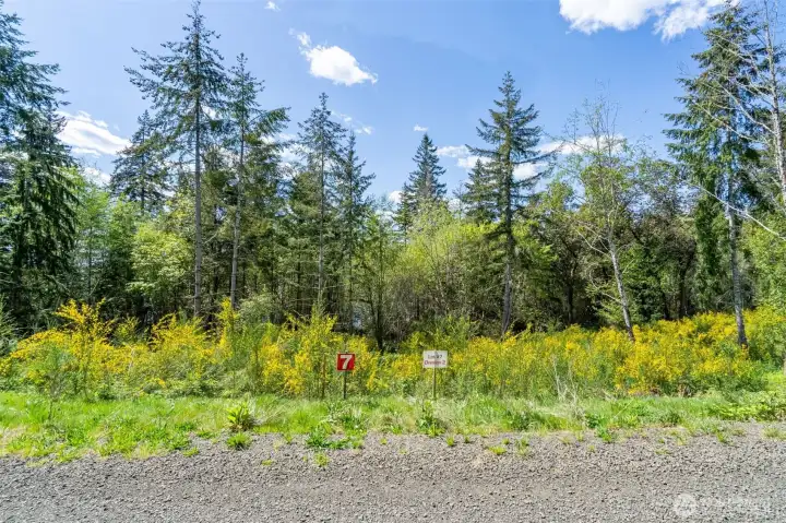 Property is gently sloped off road, most of the brush and trees seen here would be removed for a homesite opening Oakland Bay view.