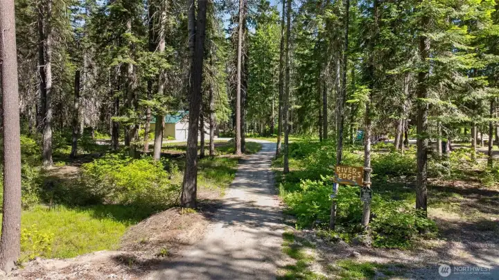 Level and private drive to homesite Level and private drive to homesite