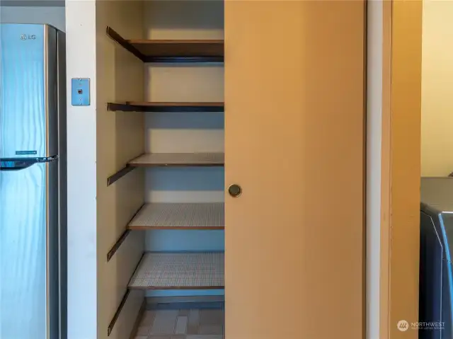 Pantry with shelves and sliding door.