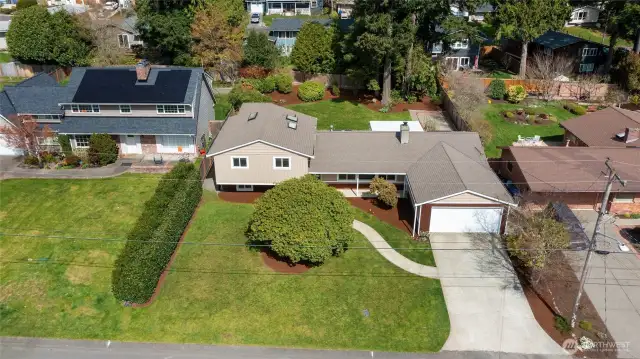 Looking down on the front yard