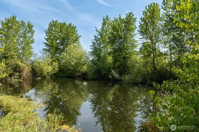irrigation pond