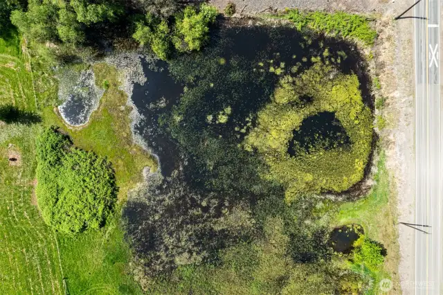 wetland area