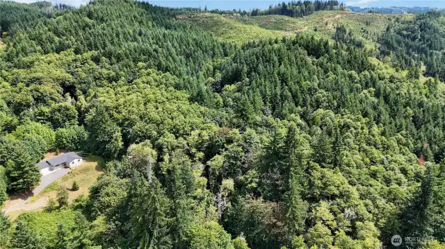Gorgeous Property