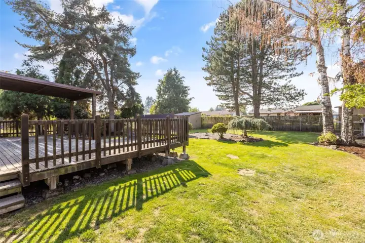 .247 acre lot!