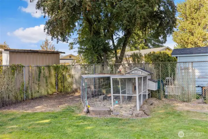 Chicken coop