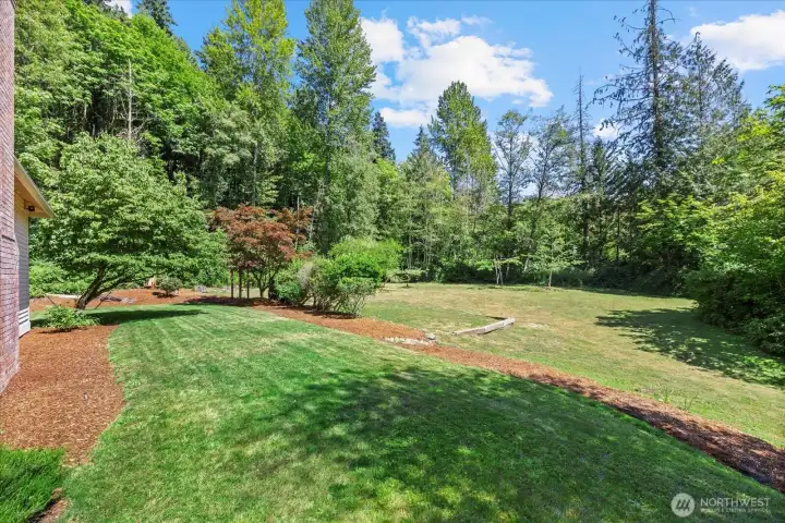 Entertaining Backyard