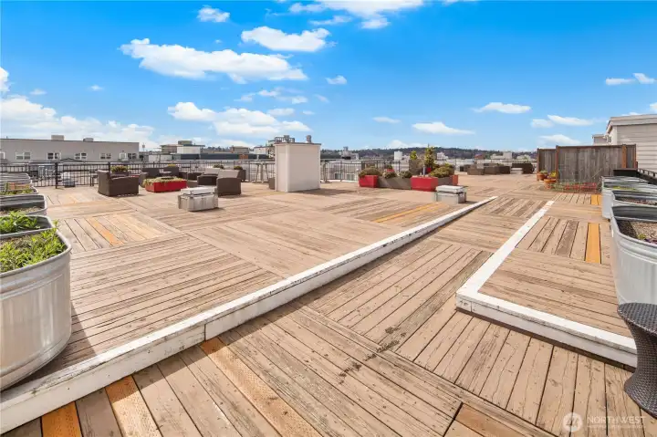 We've now taken the elevator to the top four and there's a great rooftop deck up here where you can do some gardening, entertaining, and enjoy the encompassing views of Ballard, Queen, Anne, and Magnolia.