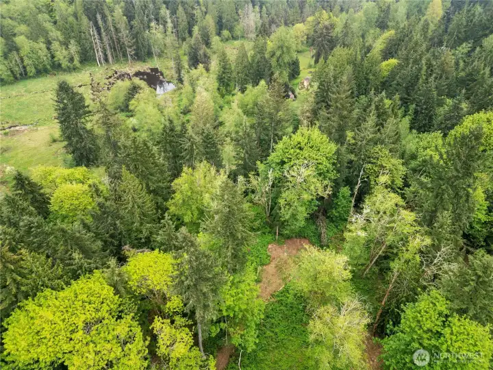 Your own private beaver pond!