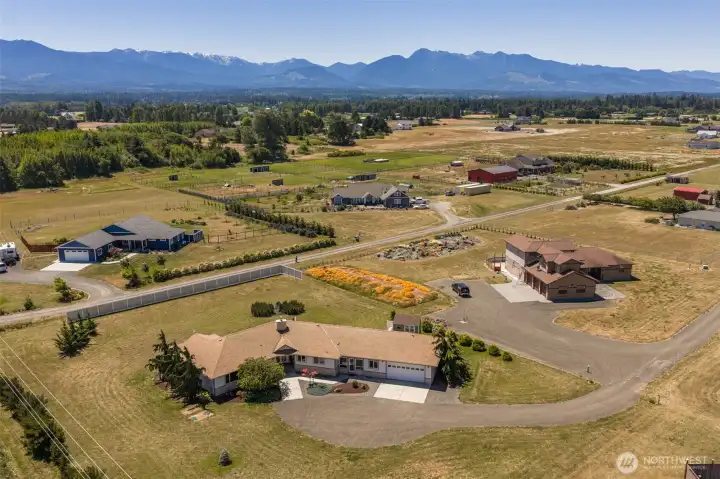 Coveted Blue Ribbon Farms!