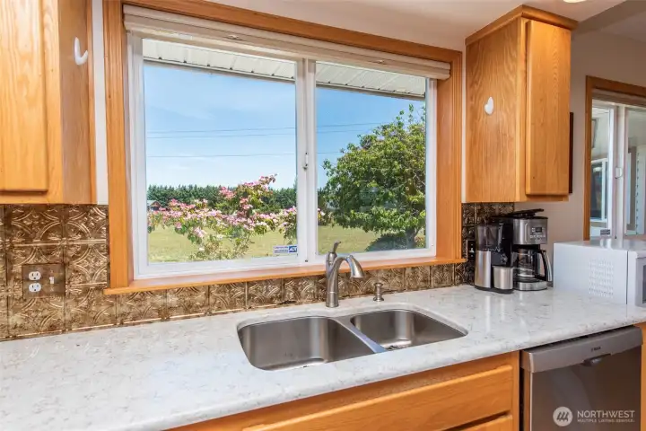 Quartz Counters