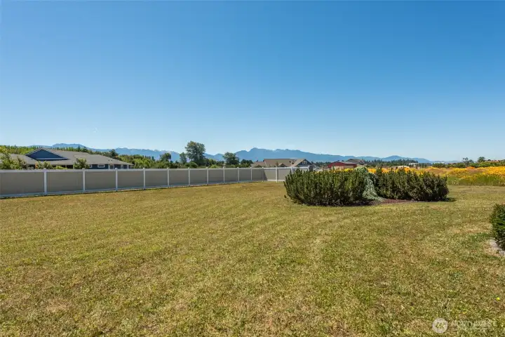 New Privacy Fence - South