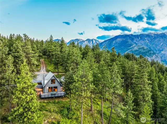 20 Acres Nestled in the Pine Trees