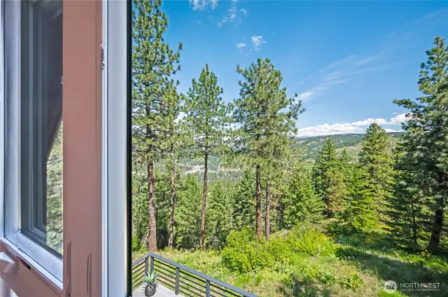 Views from Bedroom