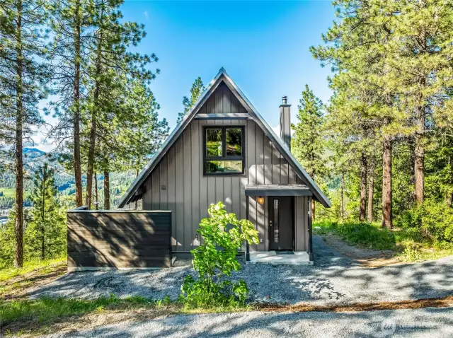 Modern Cabin