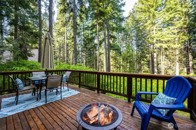 Back deck looking out