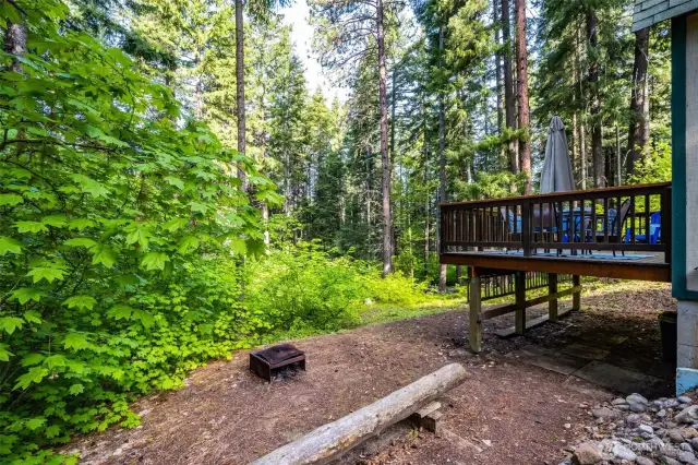 Back and side yard