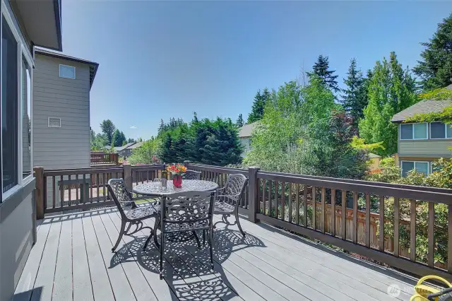 Entertainment deck