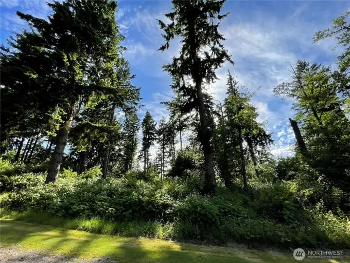 Back of lot faces West, which will give you beautiful sunsets.