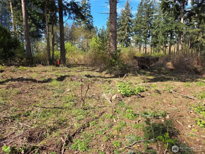 Lot is cleared & ready to build. Back of lot faces West, which will give you beautiful sunsets.