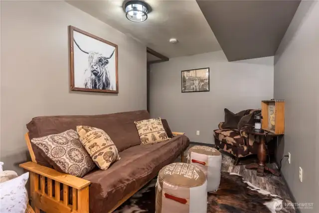 Lower Living Space With Storage Behind This Area