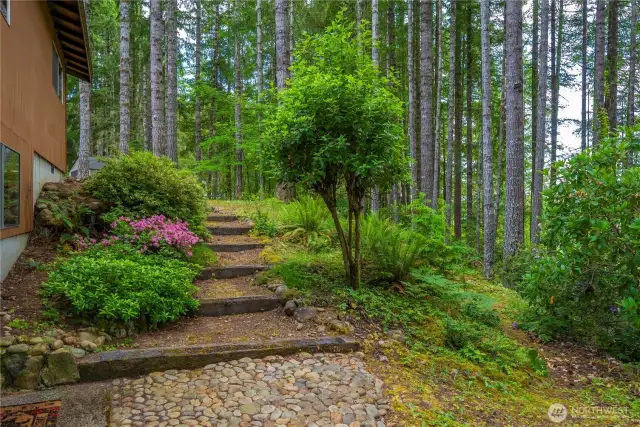 Mature, Beautiful Landscape