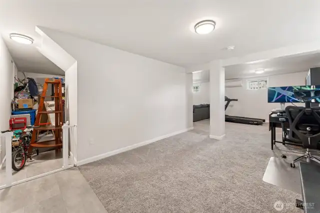 Finished area lower level.