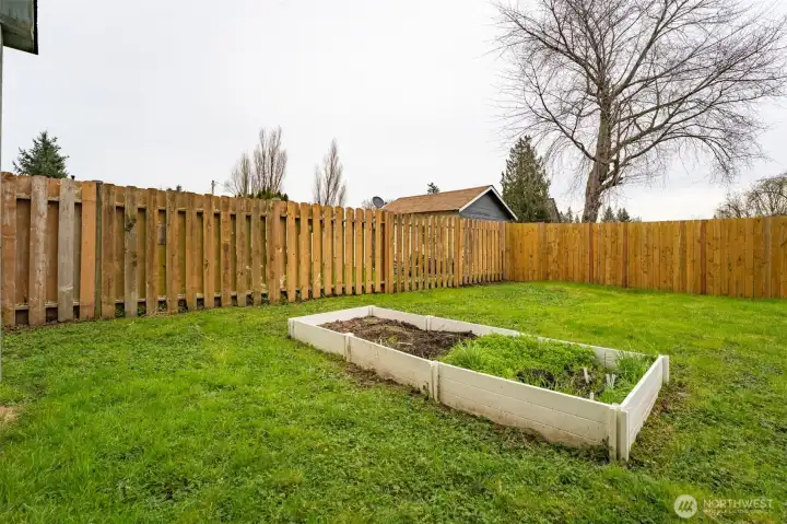 The raised garden bed gets full sunlight making it ideal for growing.
