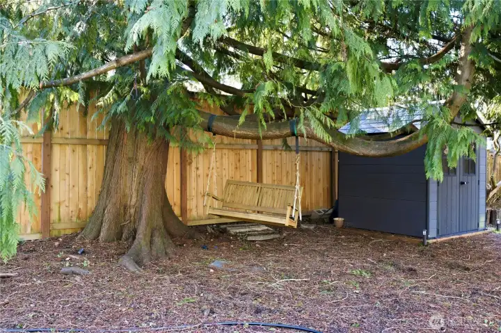 Backyard with tool shed