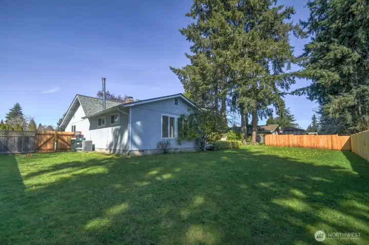 View of the expansive backyard